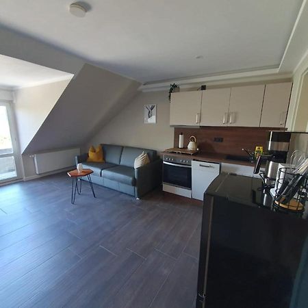 Neumuehler Hof- Ferienwohnung "Benjamin" Mit Grosser Privater Dachterasse Und Guter Anbindung In Die City Schwerin  Buitenkant foto