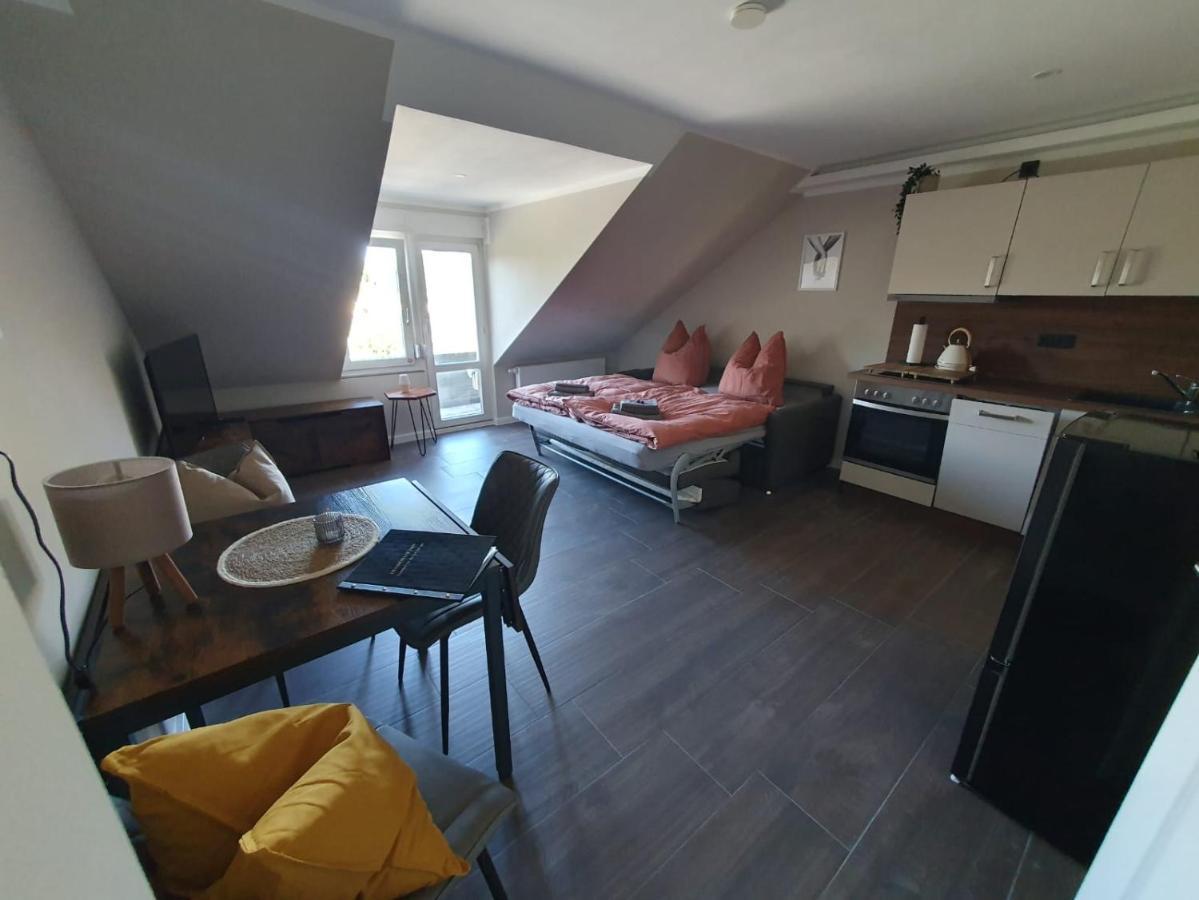 Neumuehler Hof- Ferienwohnung "Benjamin" Mit Grosser Privater Dachterasse Und Guter Anbindung In Die City Schwerin  Buitenkant foto