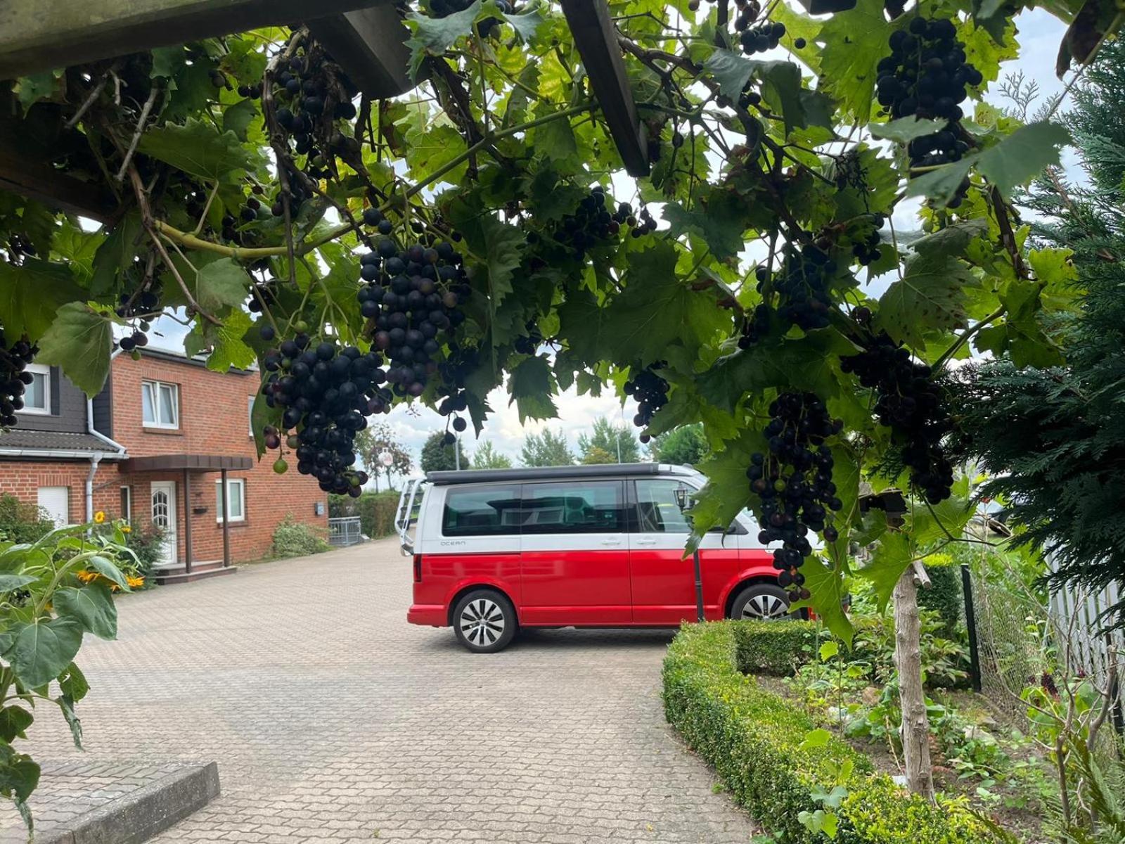 Neumuehler Hof- Ferienwohnung "Benjamin" Mit Grosser Privater Dachterasse Und Guter Anbindung In Die City Schwerin  Buitenkant foto
